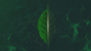 Digitaliza y gestiona tus metas de sostenibilidad con Carbonlytics